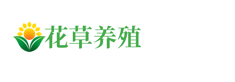 贵州省遵义市习水县端墨T恤合伙企业,临沂贵州省遵义市习水县端墨T恤合伙企业
